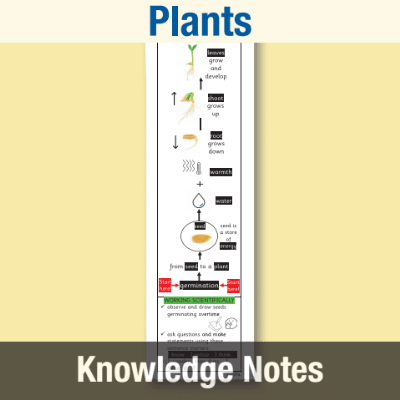 Image of Year 2 Science (Plants) Knowledge Notes KN CUSP Resource