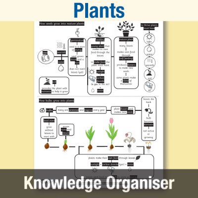 Image of Year 2 Science (Plants) Knowledge Organiser KO CUSP Resource