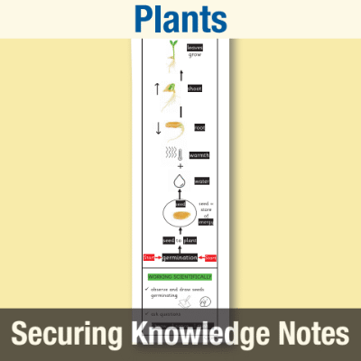 Image of Year 2 Science (Plants) Knowledge Notes SKN CUSP Resource
