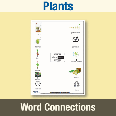 Image of Year 2 Science (Plants) Word Connections WC CUSP Resource