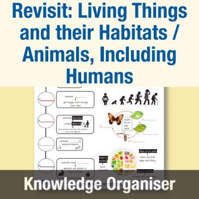 Image of Year 2 Science (Revisit: Living Things and their Habitats / Animals, Including Humans), Animals Knowledge Organiser KO CUSP Resource