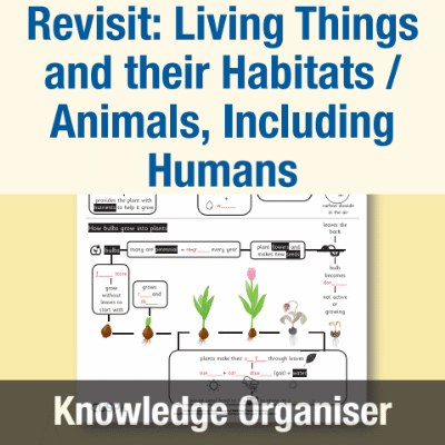 Image of Year 2 Science (Revisit: Living Things and their Habitats / Animals, Including Humans), Plants Knowledge Organiser KO CUSP Resource