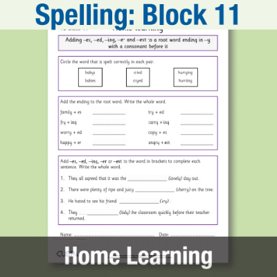 Image of Year 2 Spelling Block 11 Home Learning HL CUSP Resource