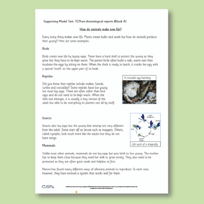 Y2 Writing A (Non-Chronological Reports) Supporting Model Text SMT