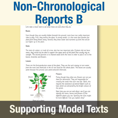 Image of Year 2 Writing B (Non-Chronological Reports) Supporting Model Text SMT CUSP Resource