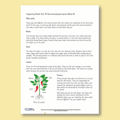 Y2 Writing B (Non-Chronological Reports) Supporting Model Text SMT