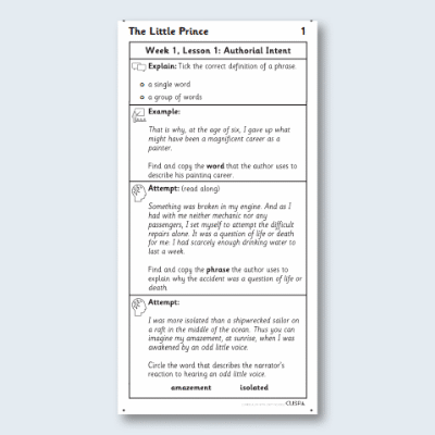 Y3 Reading (The Little Prince 1) Knowledge Notes KN