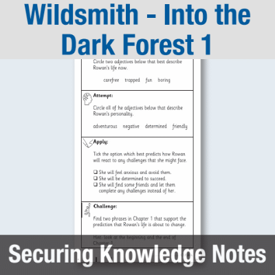 Image of Year 3 Reading (Wildsmith - Into the Dark Forest 1) Knowledge Notes SKN CUSP Resource