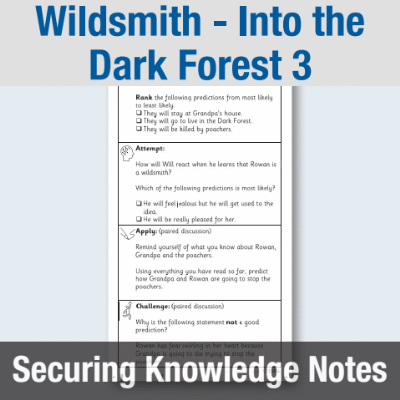 Image of Year 3 Reading (Wildsmith - Into the Dark Forest 3) Knowledge Notes SKN CUSP Resource