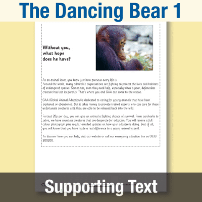 Image of Year 3 Reading (The Dancing Bear 1) Supporting Text ST CUSP Resource