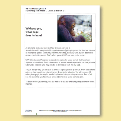 Y3 Reading (The Dancing Bear 1) Supporting Text ST