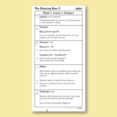 Y3 Reading (The Dancing Bear 2) Knowledge Notes SKN