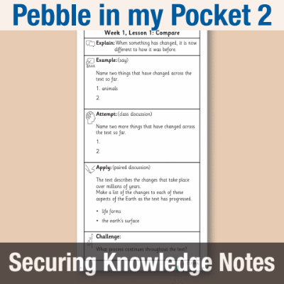 Image of Year 3 Reading (Pebble in my Pocket 2) Knowledge Notes SKN CUSP Resource