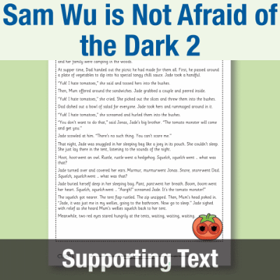 Image of Year 3 Reading (Sam Wu is Not Afraid of the Dark 2) Supporting Text ST CUSP Resource