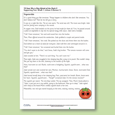 Y3 Reading (Sam Wu is Not Afraid of the Dark 2) Supporting Texts ST