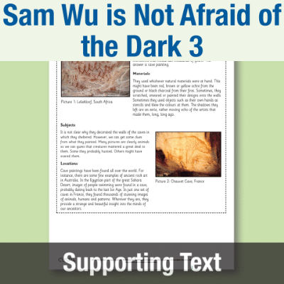Image of Year 3 Reading (Sam Wu is Not Afraid of the Dark 3) Supporting Text ST CUSP Resource