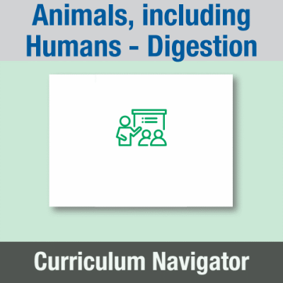 Image of Year 03 Science (Animals, including Humans - Digestion) - Block A) Curriculum Navigator CUSP ResourceAccess Spring 140x195mm Printed in Black;    1 Leaf Set in pads of 16