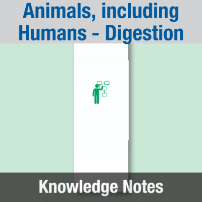 Image of Year 03 Science (Animals, including Humans - Digestion) - Block B) Knowledge Notes CUSP ResourceAccess Spring 58.5x234mm Printed in Black;    4 Leaf Set in pads of 16