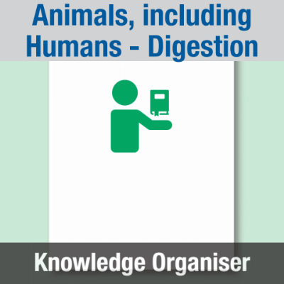 Image of Year 03 Science (Animals, including Humans - Digestion) - Block B) Knowledge Organiser CUSP ResourceAccess Spring 195x277mm Printed in Black;    1 Leaf Set in pads of 16