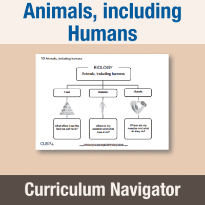 Image of Year 3 Science (Animals, including Humans) Curriculum Navigator CN CUSP Resource