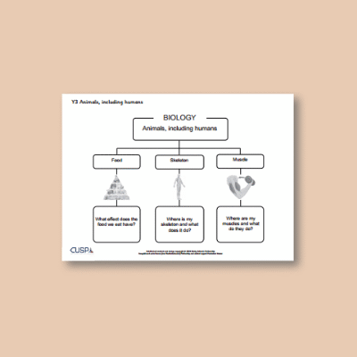 Y3 Science (Animals, including Humans) Curriculum Navigator CN
