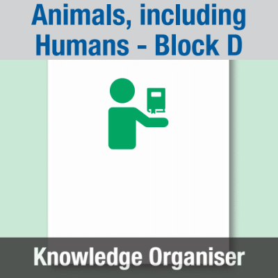 Image of Year 03 Science (Animals, including Humans - Block D) Knowledge Organiser CUSP ResourceAccess Summer 195x277mm Printed in Black;    1 Leaf Set in pads of 16