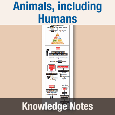 Image of Year 3 Science (Animals, including Humans) Knowledge Notes KN CUSP Resource