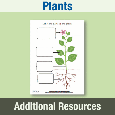 Image of Year 3 Science (Plants) AR Label the Parts of a Plant CUSP Resource