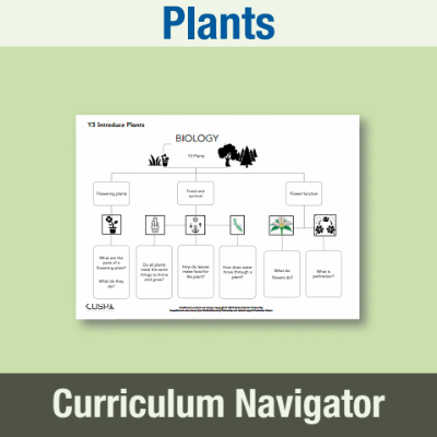 Image of Year 3 Science (Plants) Curriculum Navigator CN CUSP Resource