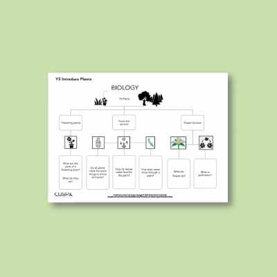 Y3 Science (Plants) Curriculum Navigator CN