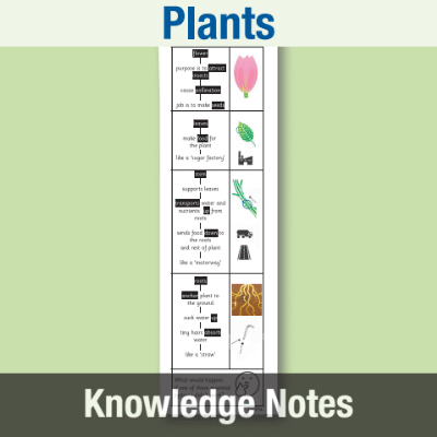 Image of Year 3 Science (Plants) Knowledge Notes KN CUSP Resource