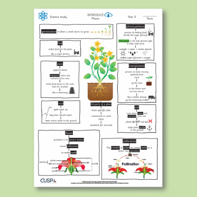 Y3 Science (Plants) Knowledge Organiser KO