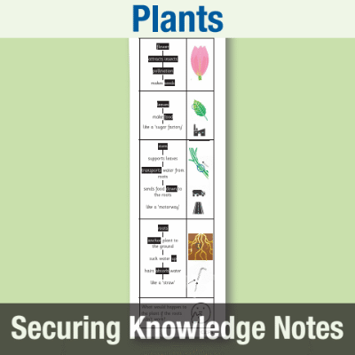 Image of Year 3 Science (Plants) Knowledge Notes SKN CUSP Resource