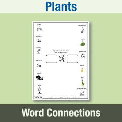 Image of Year 3 Science (Plants) Word Connections WC CUSP Resource
