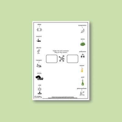 Y3 Science (Plants) Word Connections WC