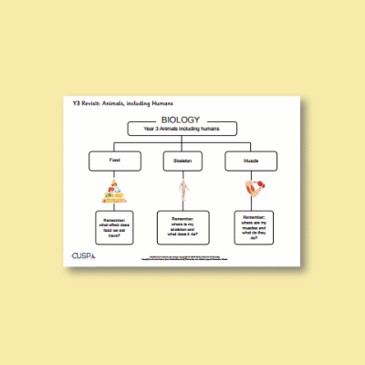 Y3 Science (Revisit: Animals, Including Humans) Curriculum Navigator CN