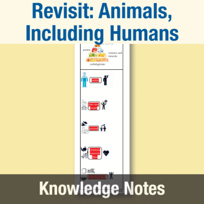Image of Year 3 Science (Revisit: Animals, Including Humans) Knowledge Notes KN CUSP Resource