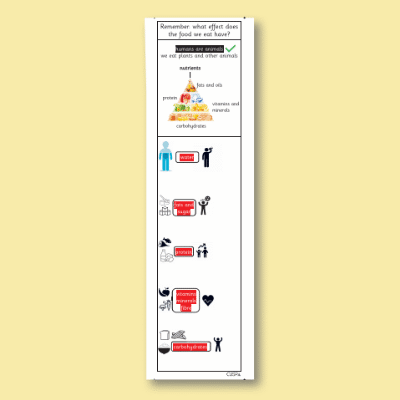 Y3 Science (Revisit: Animals, Including Humans) Knowledge Notes KN