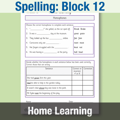 Image of Year 3 Spelling Block 12 Home Learning HL CUSP Resource