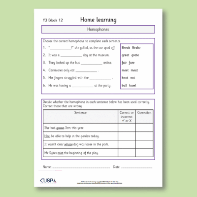 Y3 Spelling Block 12 Home Learning HL