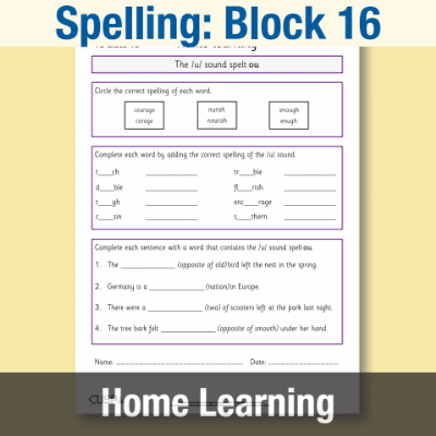 Image of Year 3 Spelling Block 16 Home Learning HL CUSP Resource