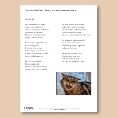 Y3 Writing A (Poetry on a Theme - Emotions) Supporting Model Text SMT