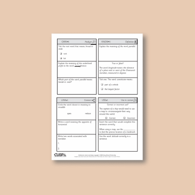 Y4 Geography (Latitude and Longitude) Vocabulary Questions VQ
