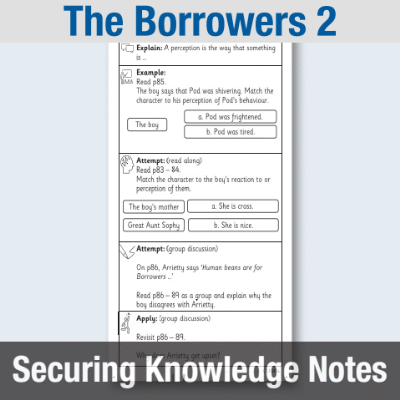 Image of Year 4 Reading (The Borrowers 2) Knowledge Notes SKN CUSP Resource