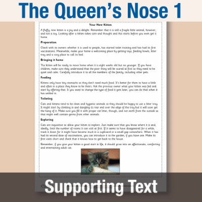 Image of Year 4 Reading (The Queen's Nose 1) Supporting Text ST CUSP Resource