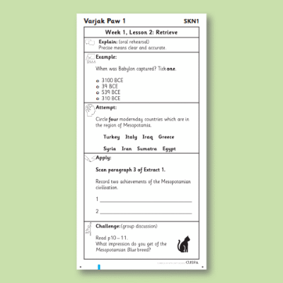 Y4 Reading (Varjak Paw 1) Knowledge Notes SKN