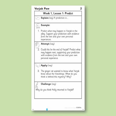 Y4 Reading (Varjak Paw 2) Knowledge Notes KN