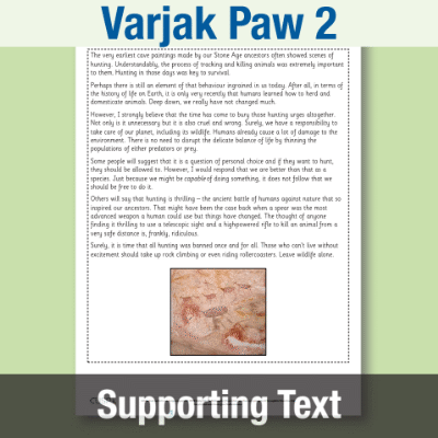 Image of Year 4 Reading (Varjak Paw 2) Supporting Text ST CUSP Resource