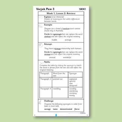 Y4 Reading (Varjak Paw 3) Knowledge Notes SKN