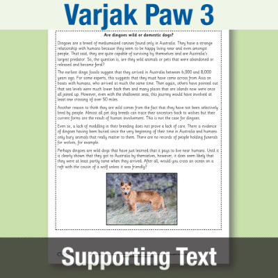 Image of Year 4 Reading (Varjak Paw 3) Supporting Text ST CUSP Resource